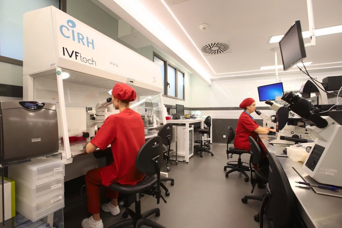 ¿Cuándo y cómo preservar la fertilidad? Técnicas y consentimiento