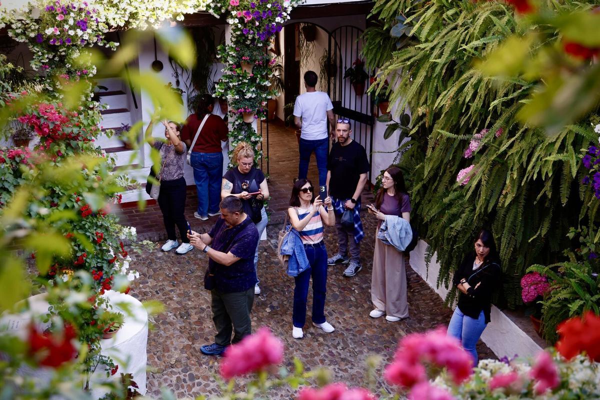 Los Patios de Córdoba abren sus puertas