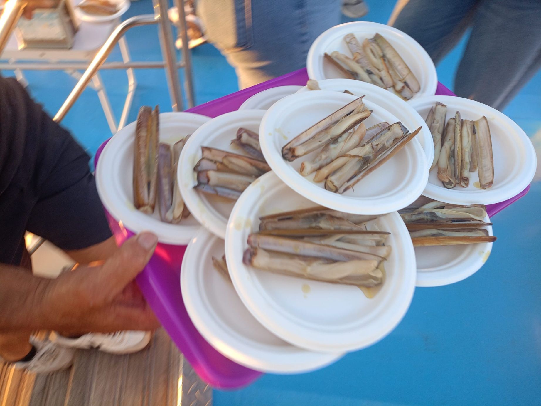 La ruta de «Viños singulares polo mar» a bordo del catamarán «Gran Cormorán Jet», esta tarde-noche.