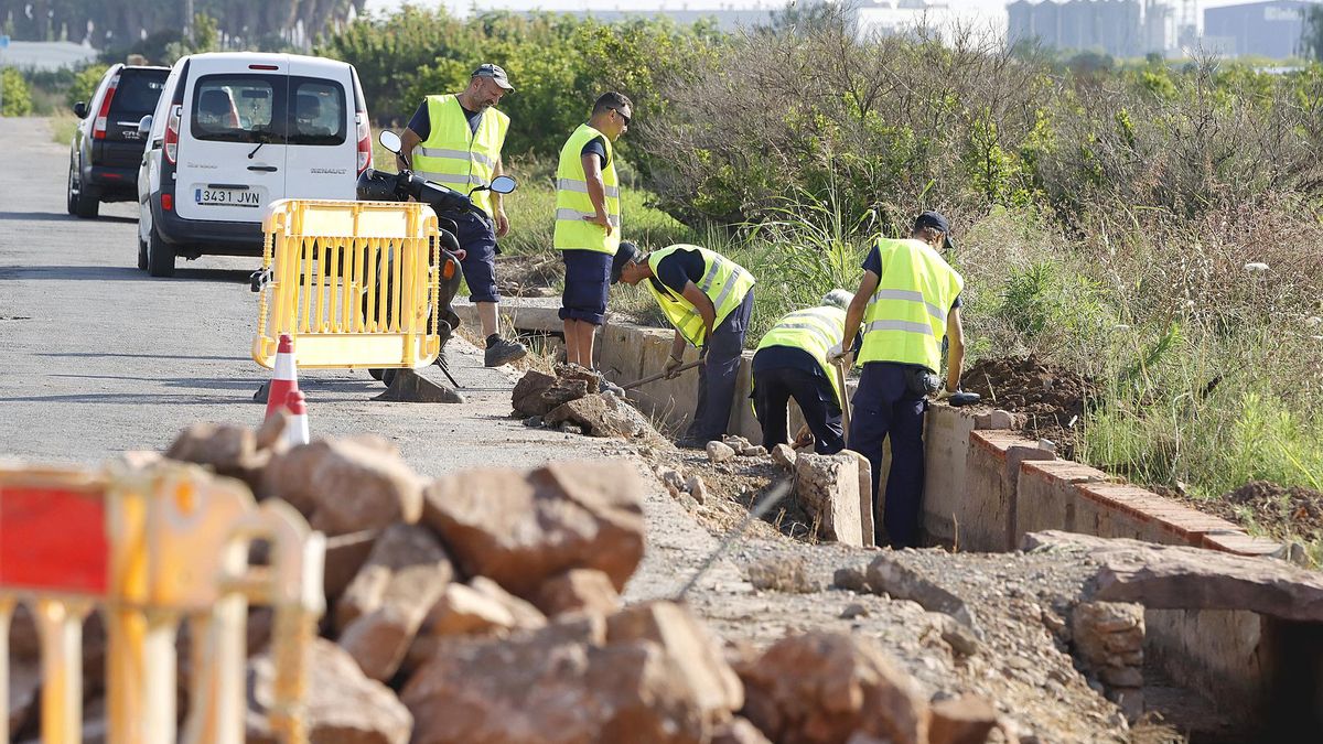 Trabajadores del problema del paro agrícola en 2024