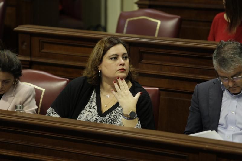 El pleno del Parlamento de Canarias continua con varias comparecencias, entre ellas varias de la consejera de Educación, María José Guerra, para abordar cuestiones como el absentismo y el abandono escolar temprano o el Plan Estratégico de Atención a la Diversidad en la Ley Canaria de Educación  | 12/02/2020 | Fotógrafo: Delia Padrón