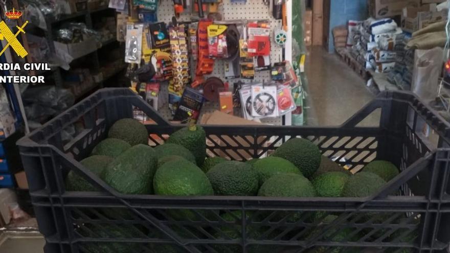 La Guardia Civil interviene casi 100 kilos de aguacates en Tenerife