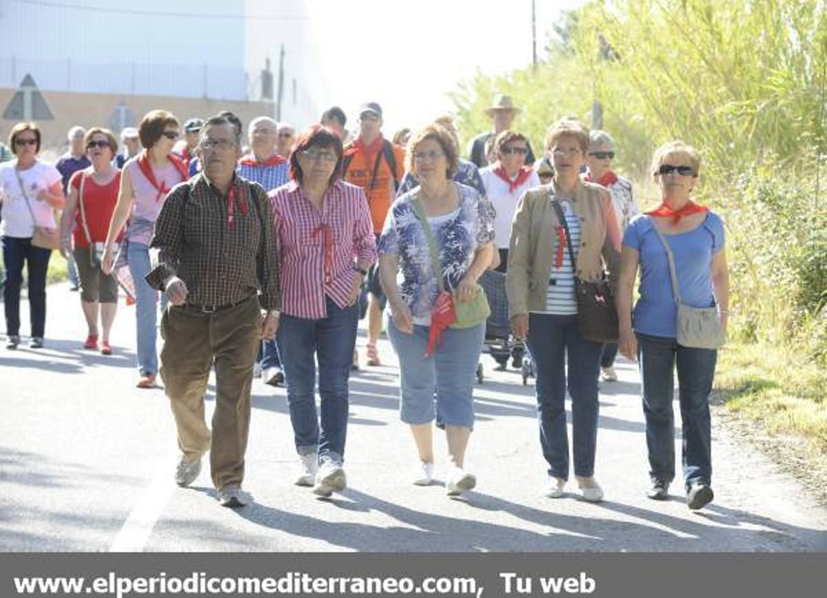 GALERÍA DE FOTOS - Romería en Almassora