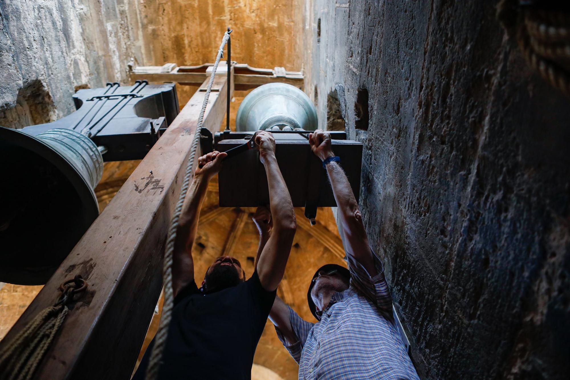 Así ha sido el "Repret" de las campanas de la Catedral de València