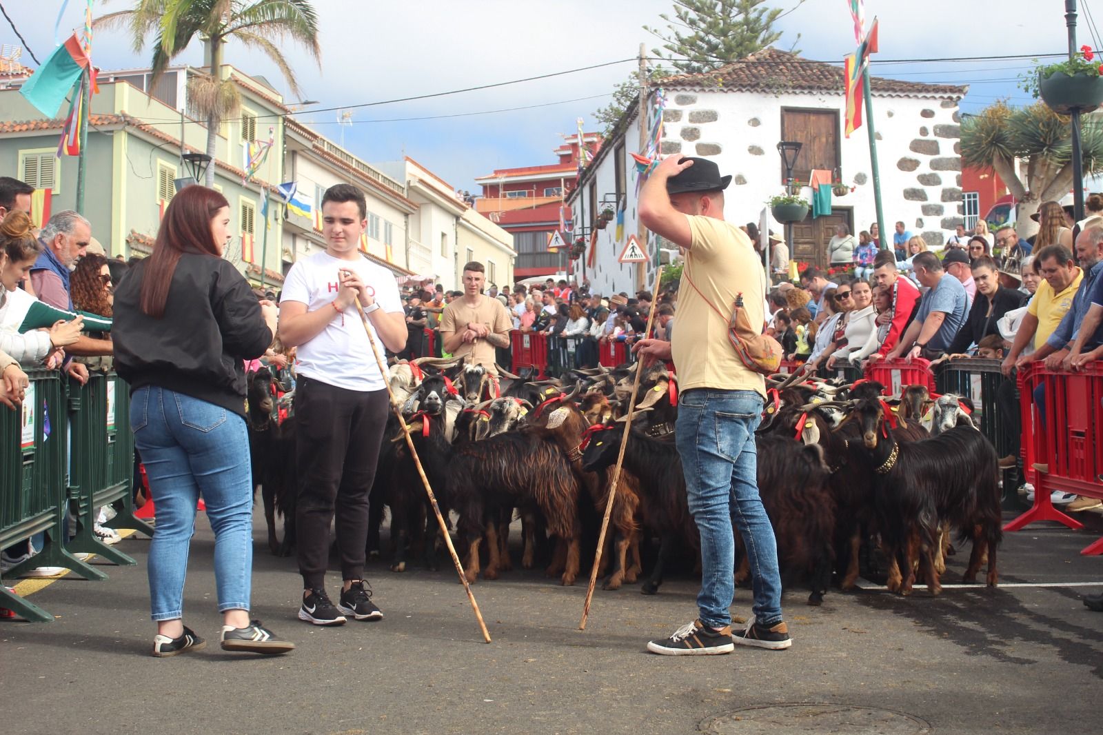 Romería de San Antonio Abad, en La Matanza