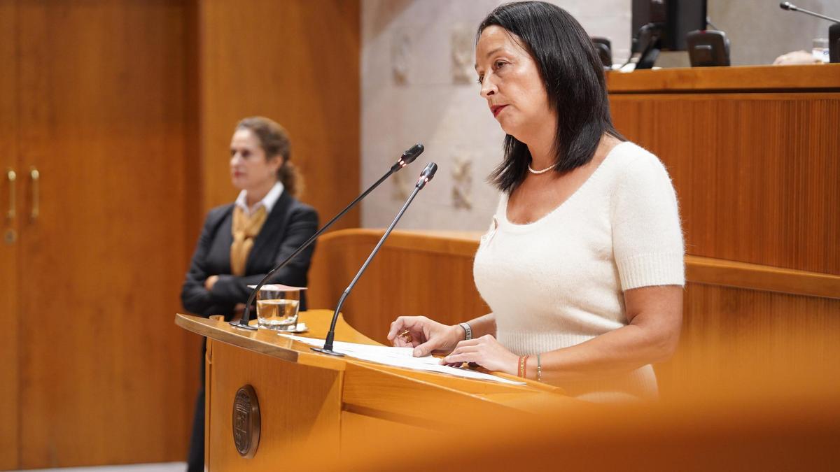 La consejera de Bienestar Social, Carmen Susín, durante su intervención en las Cortes.