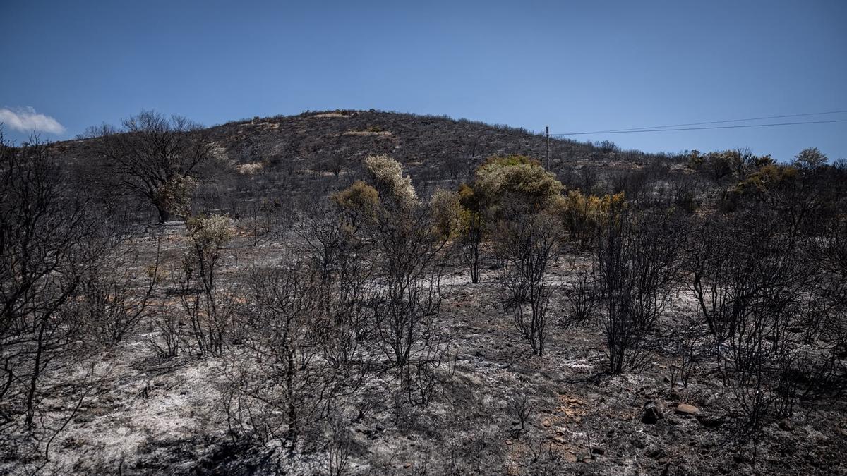 Terreno quemado en el incendio de Loporzano, este fin de semana.