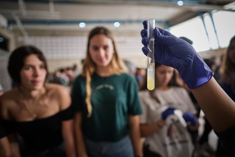 Minifera "Ciencia en femenino" Feria de la ciencia con participación de varias científicas. La feria comienza a las 9 y tendrá talleres y stands para niños. De 11:30 a las 12:00 es posible que esté la mayoría de ellas, es cuando se podrá hacer las fotos. Las científicas participantes son: Ana Belén Lago Blanco, Antonia M. Varela Pérez, Adriana de Lorenzo Cáceres Rodríguez, Pino Caballero Gil, Maria Reyes Battle, Atteneri López Arencibia, Inés Sifaoui, Natália Karla Bellini, Desirée San Nicolás, Vinita Mahtani-Chugani  | 11/02/2020 | Fotógrafo: Andrés Gutiérrez Taberne