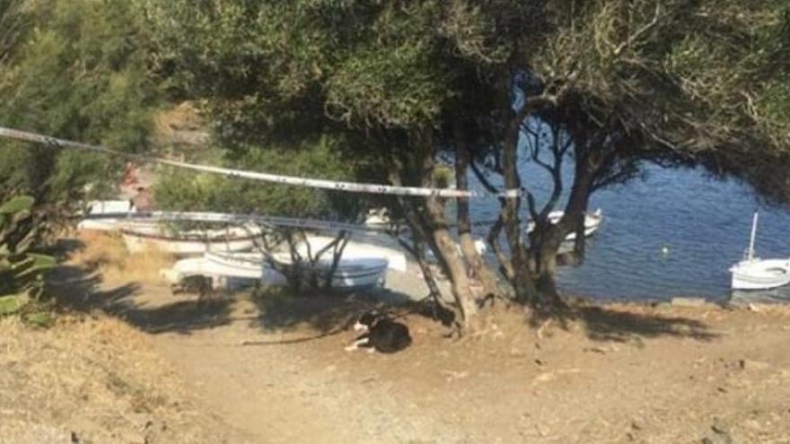 El gos lligat en un arbre a Cadaqués