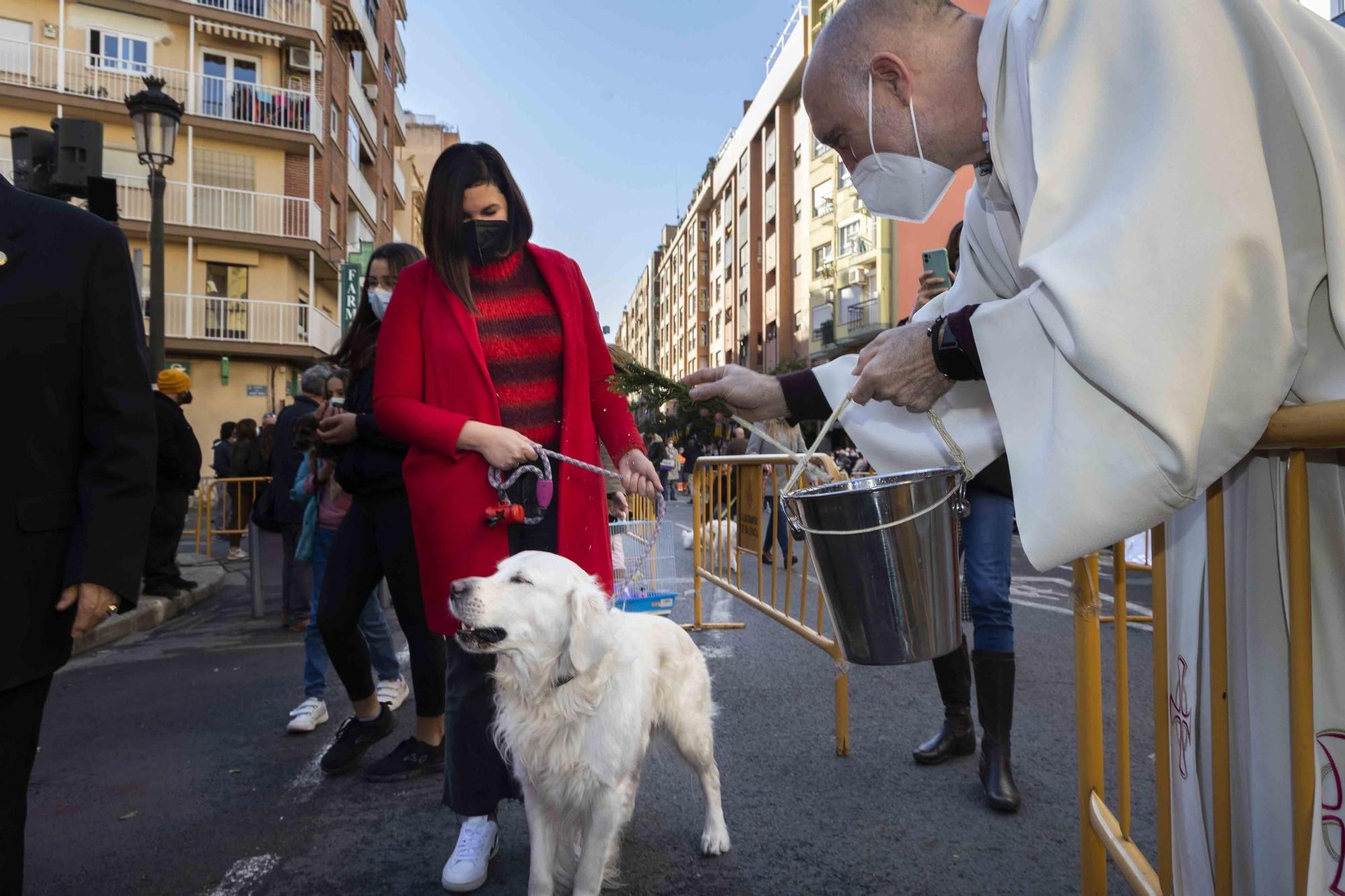 Búscate en la bendición de animales de Sant Antoni