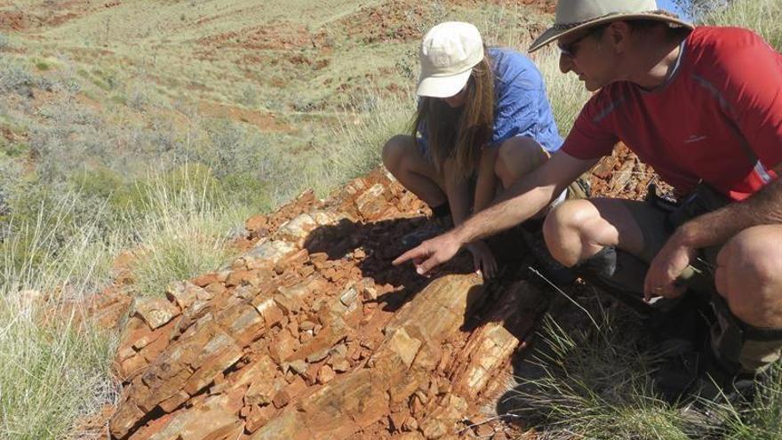 Encuentran en Australia el rastro más antiguo de vida terrestre