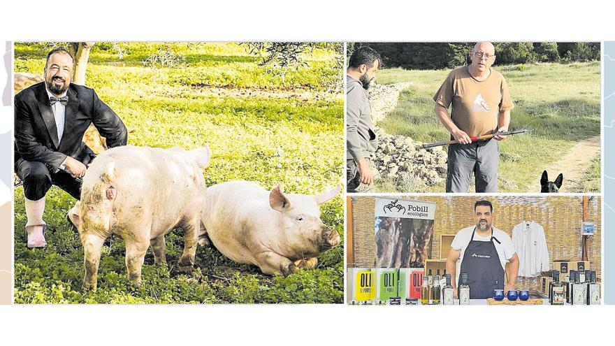 Tres casos de éxito de &#039;Castelló, Ruta de Sabor&#039;: trufas hasta Hong-kong, un nuevo cerdo &#039;de la terreta&#039; y aceite milenario solidario