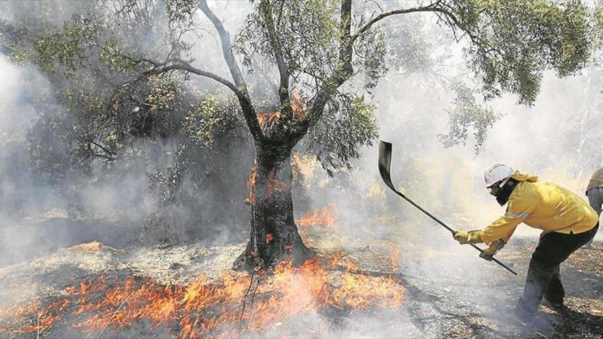 Un algoritmo predice la dificultad de combatir incendios forestales