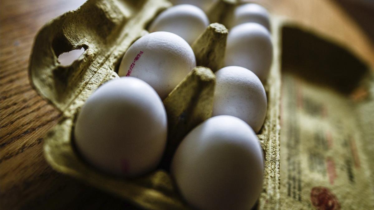 Huevos en su caja en Dresde, Alemania.