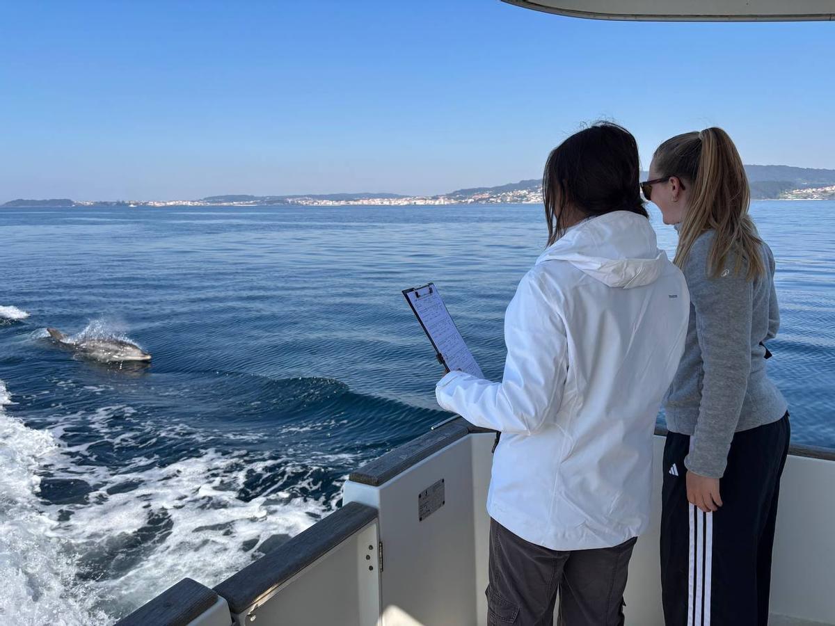 Alumnos del BDRI durante una jornada de estudio de los mamíferos marinos en la ría de Arousa.