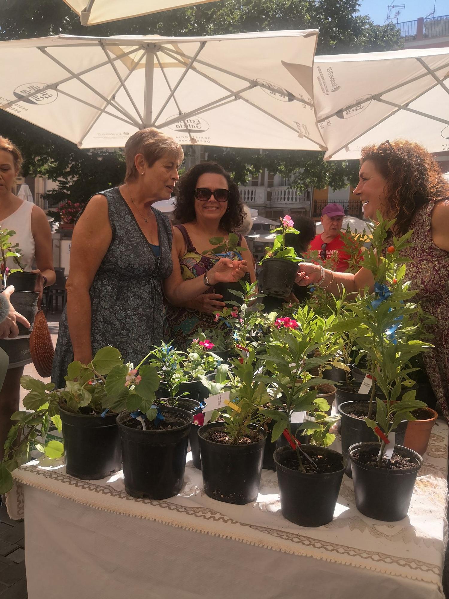 'Navajas ponte guapa' convierte el municipio en un jardín