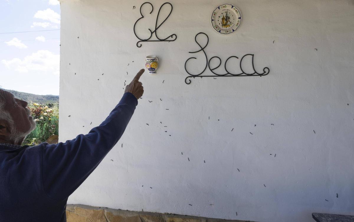 Juan José Giner señala la presencia de insectos en una pared de su chalet.