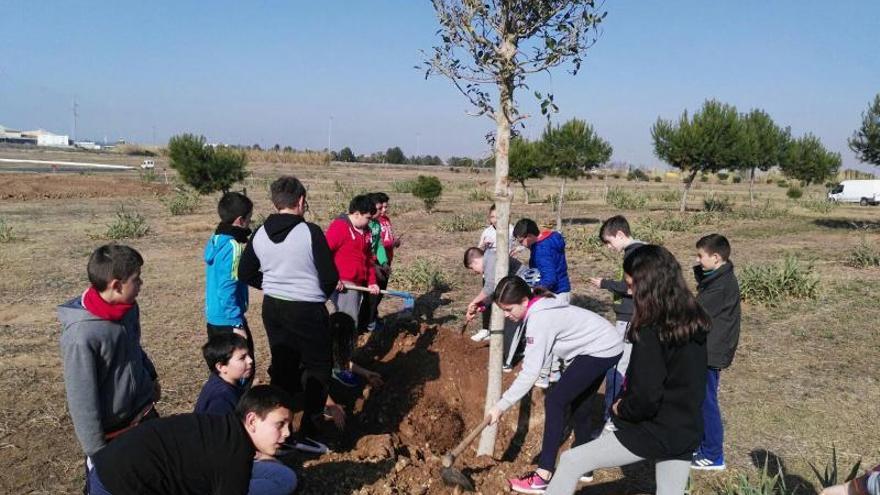 Un grupo de escolares de Almussafes durante una actividad del Día del Árbol. | LEVANTE-EMV