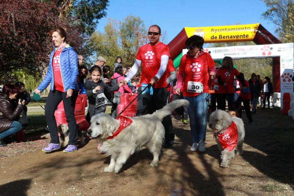 Así ha sido la Doggie Race en Benavente