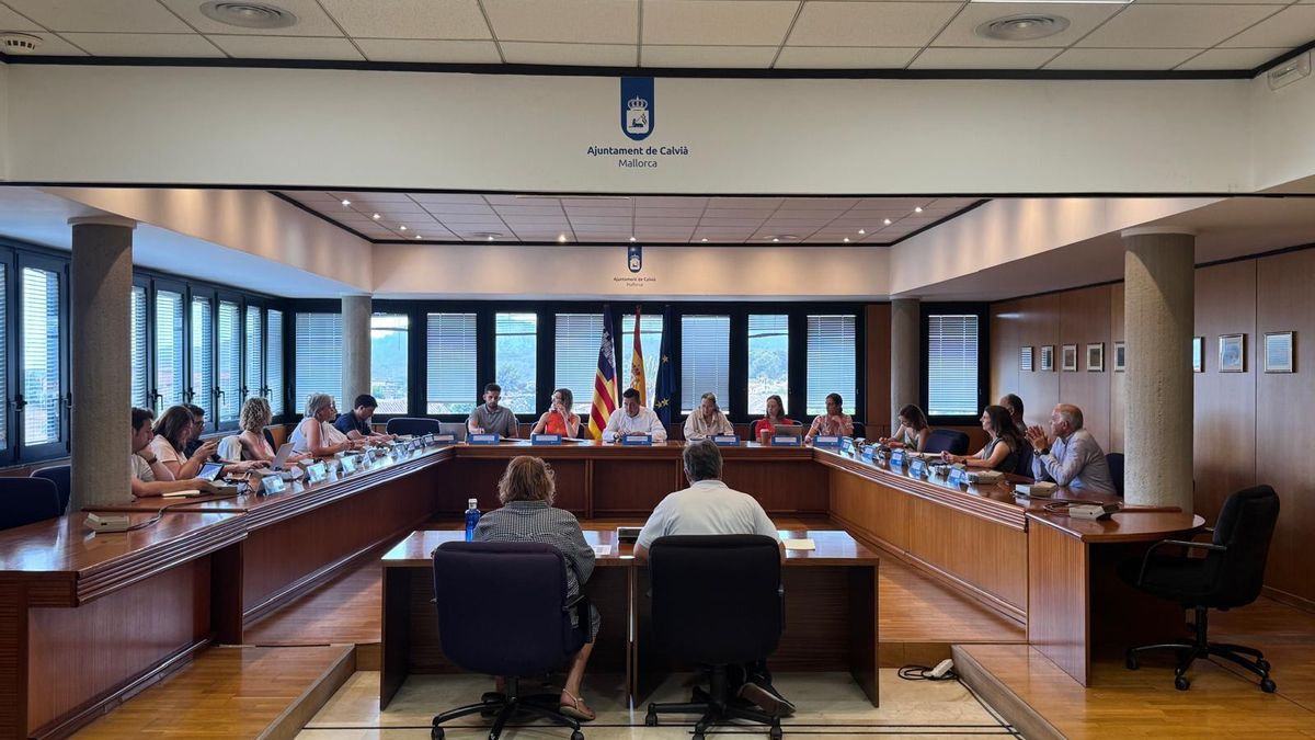 Una imagen de la reunión del consejo escolar, este martes en Calvià.