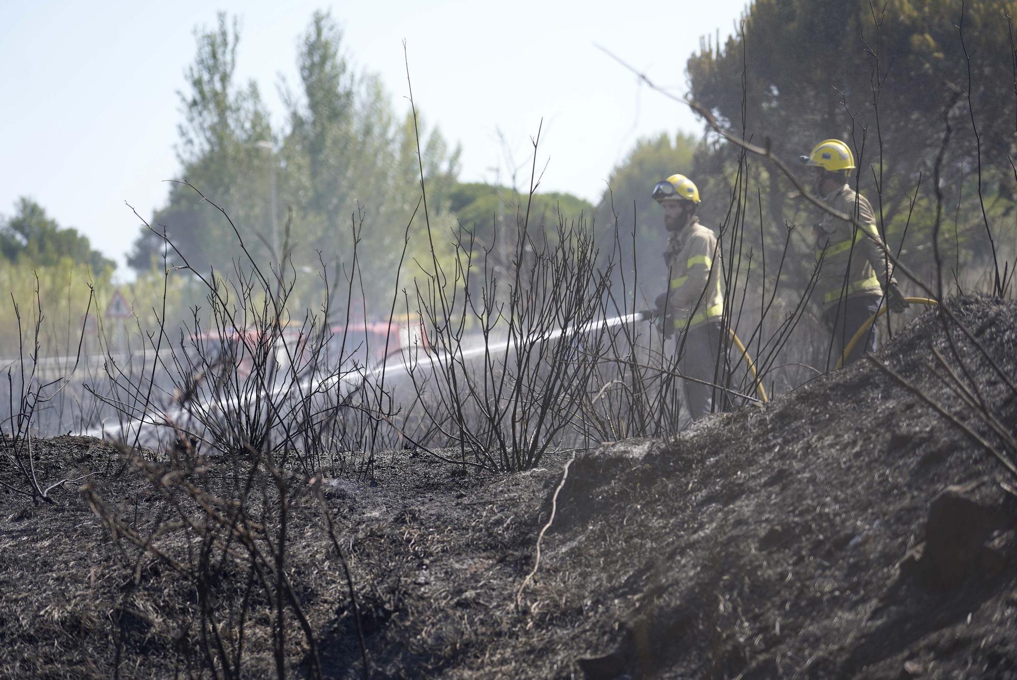 Incendi a Calonge: petit ensurt prop de la piscina