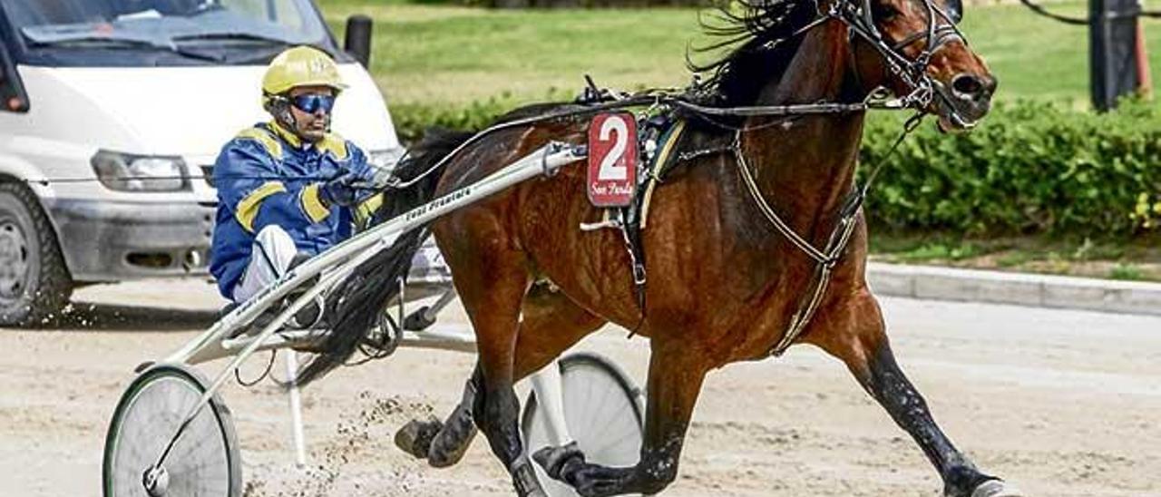 El potro de tres años Fortunato Dream, con Toni Frontera a sus riendas, en su victoria del 2 de abril en el Hipòdrom Son Pardo.