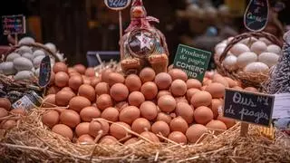 El huevo está de moda: el consumo creció casi un 8% en 2023