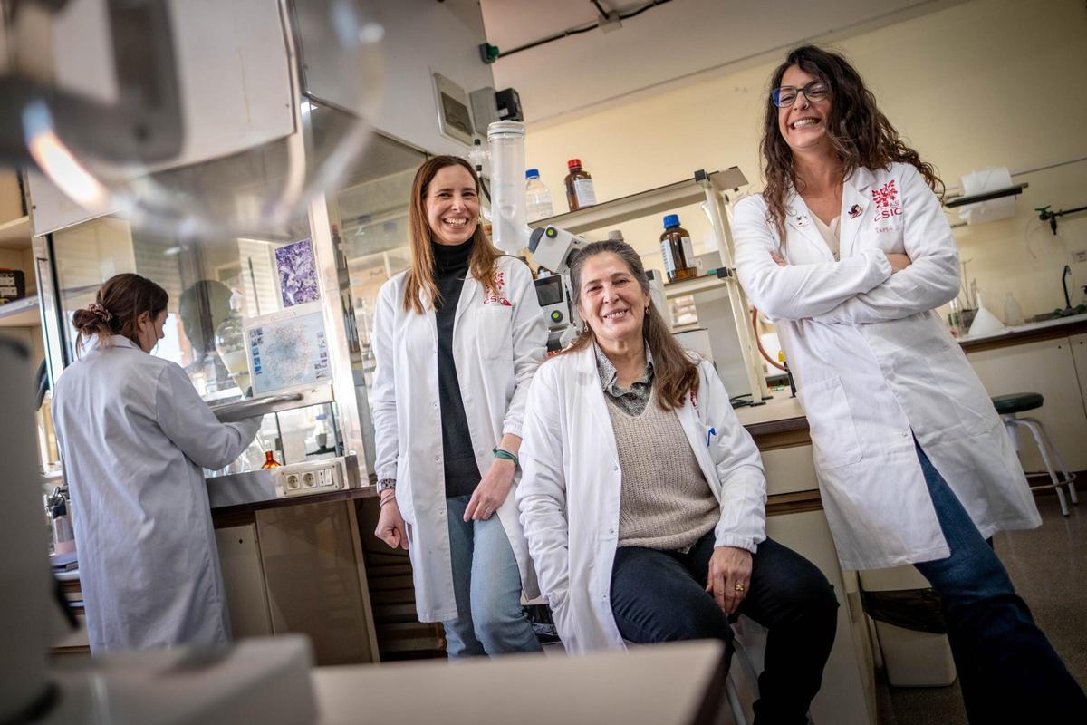 Las investigadoras del IPNA-CSIC, Ana Raquel Díaz, Carmen Elisa Díaz e Irma García