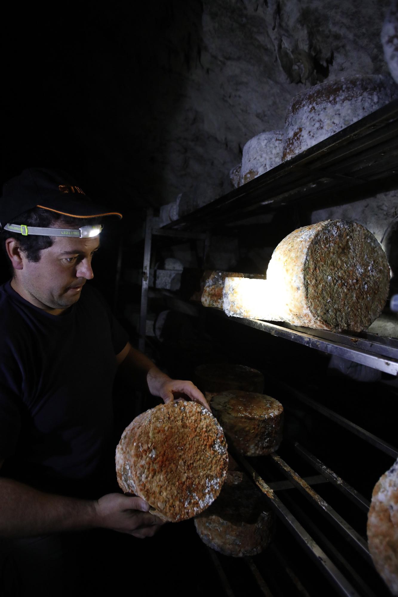 Así se elabora el gamonéu del Puertu: de la cueva a la mesa.