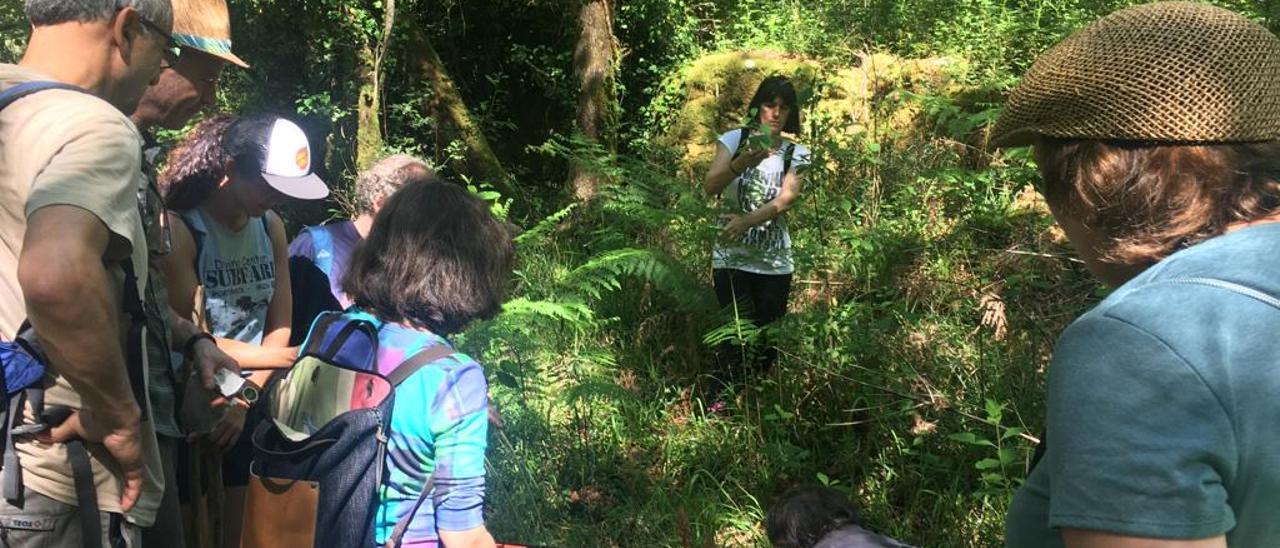 Los voluntarios durante la prospección realizada en el entorno del río Oitavén. / Cedida