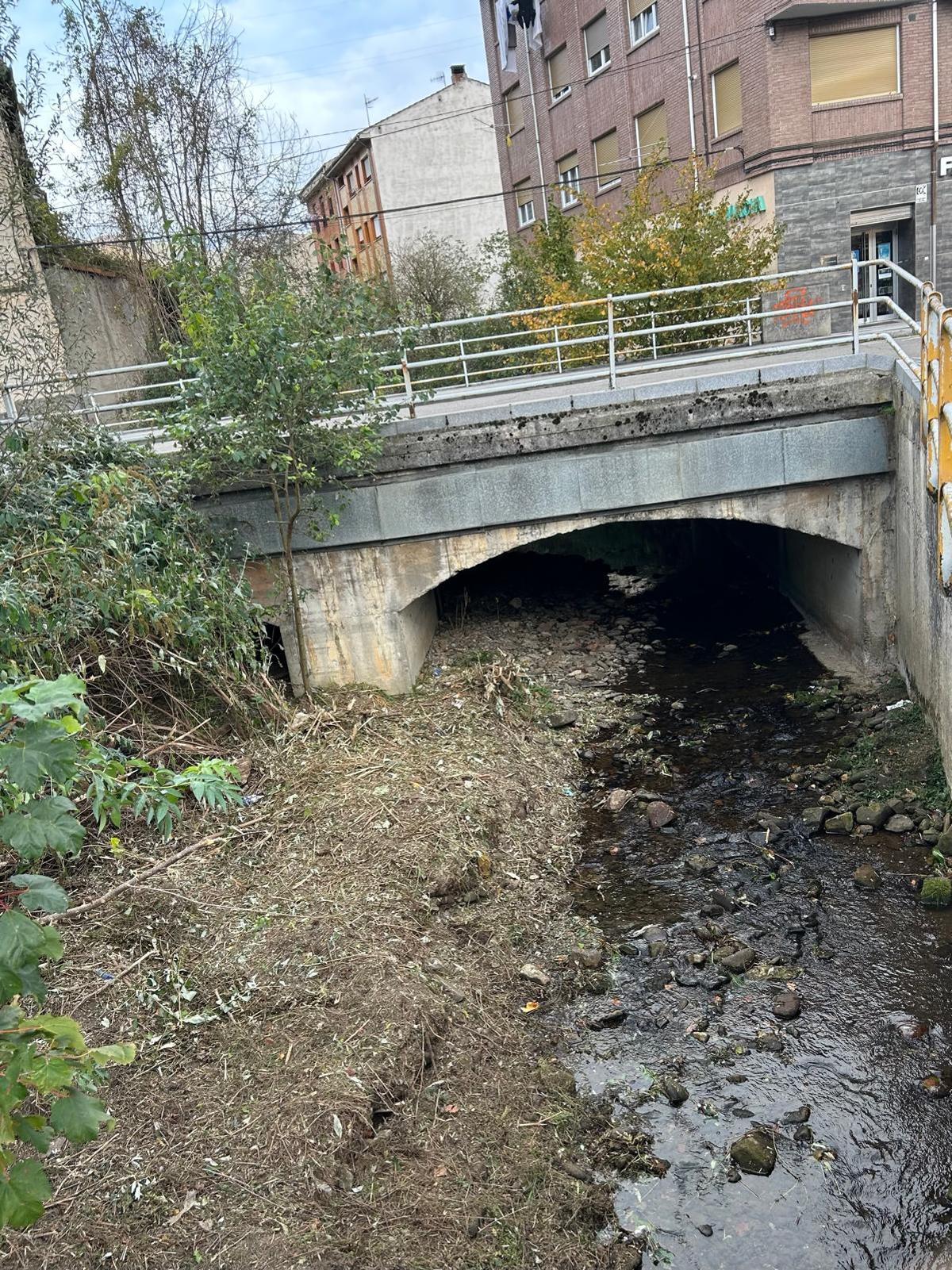 Limpieza del río Tiraña a su paso por Barredos