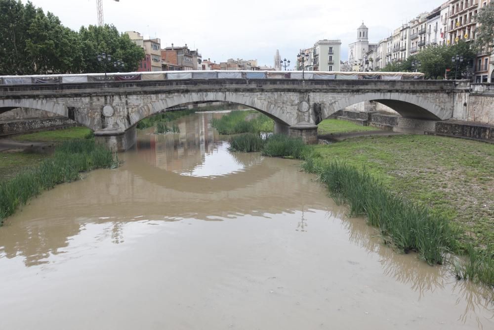 Temporal de maig a Girona per Temps de Flors