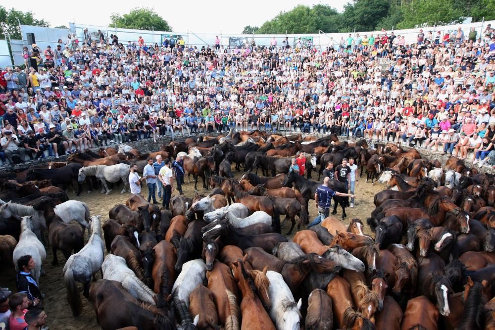 Sabucedo exhibe bravura en su Rapa das Bestas