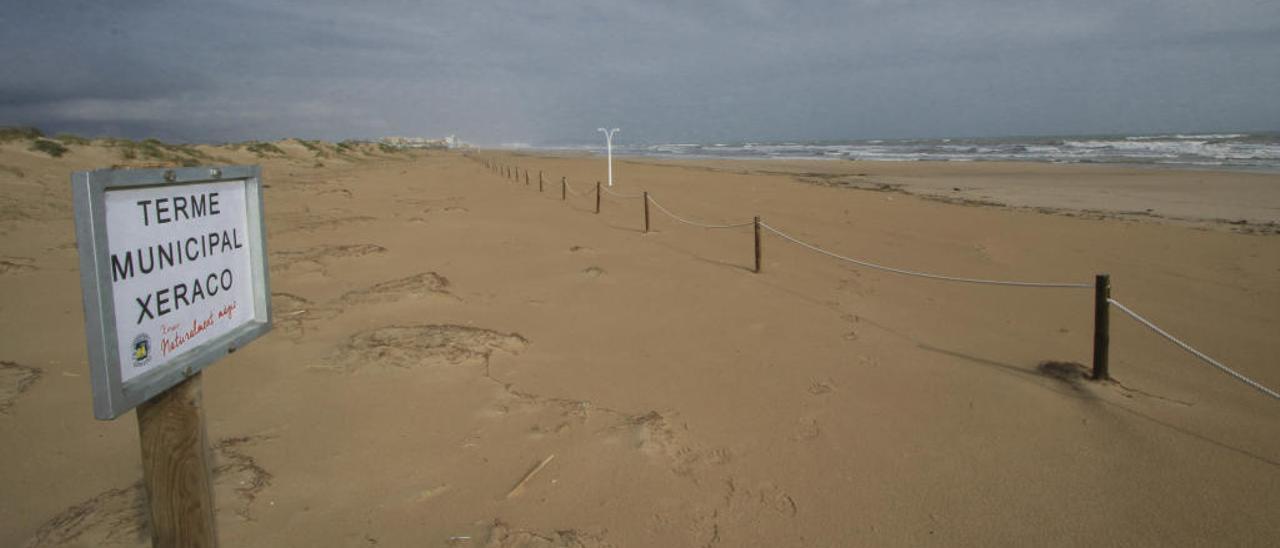 Xeraco &#039;ocupa&#039; sin aviso previo 600 metros del término de Gandia en la playa de l´Auir