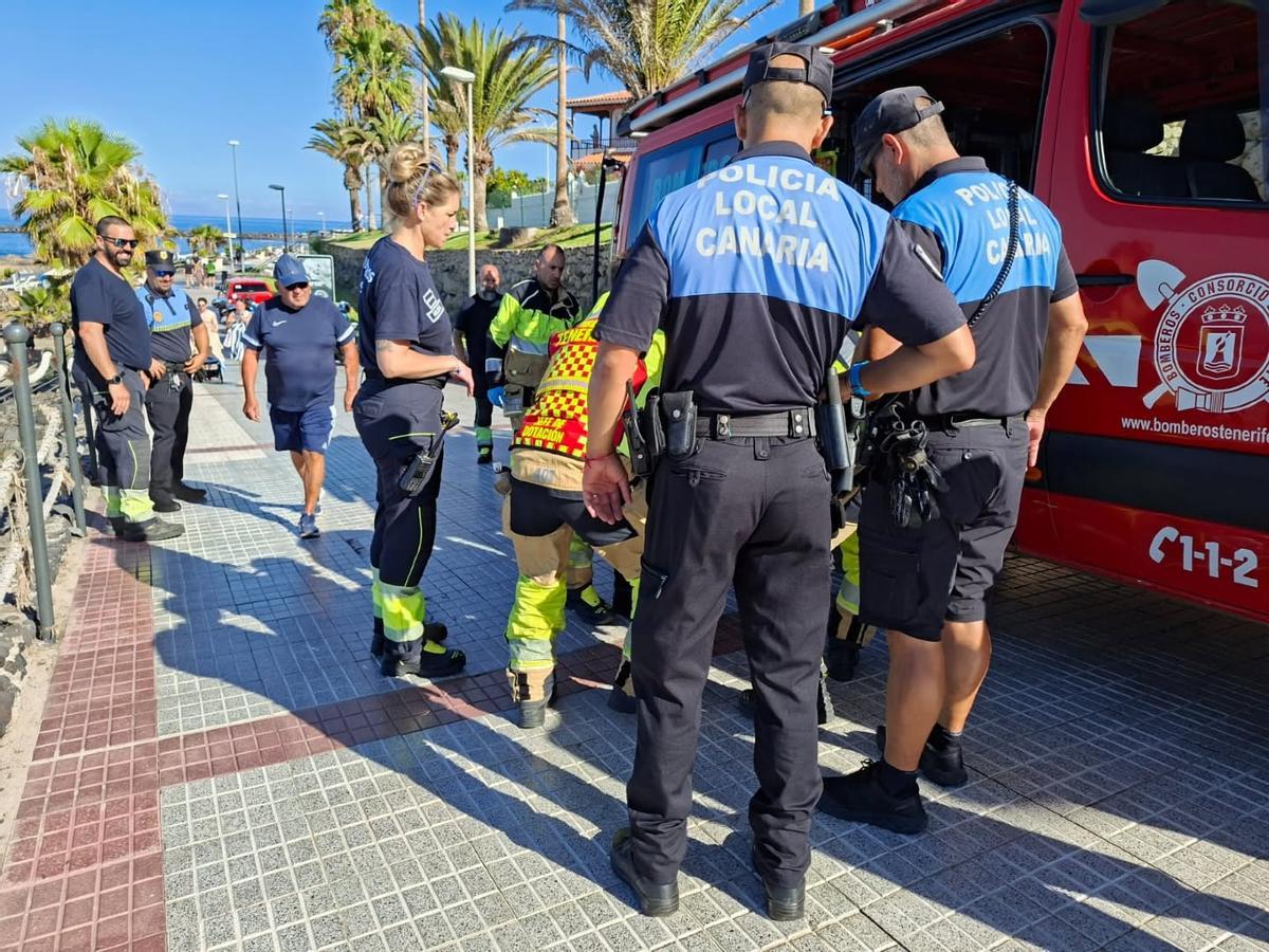 Rescatan una tortuga boba en Adeje