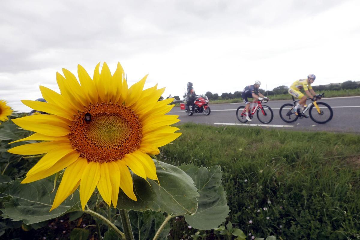 Longwy (France), 07/07/2022.- Yellow jersey wearer Belgian rider Wout Van Aert (R) of Jumbo Visma and US rider Quinn Simmons (L) of Trek Segafredo in action during the 6th stage of the Tour de France 2022 over 219.9km from Binche to Longwy, France, 07 July 2022. (Ciclismo, Francia) EFE/EPA/YOAN VALAT