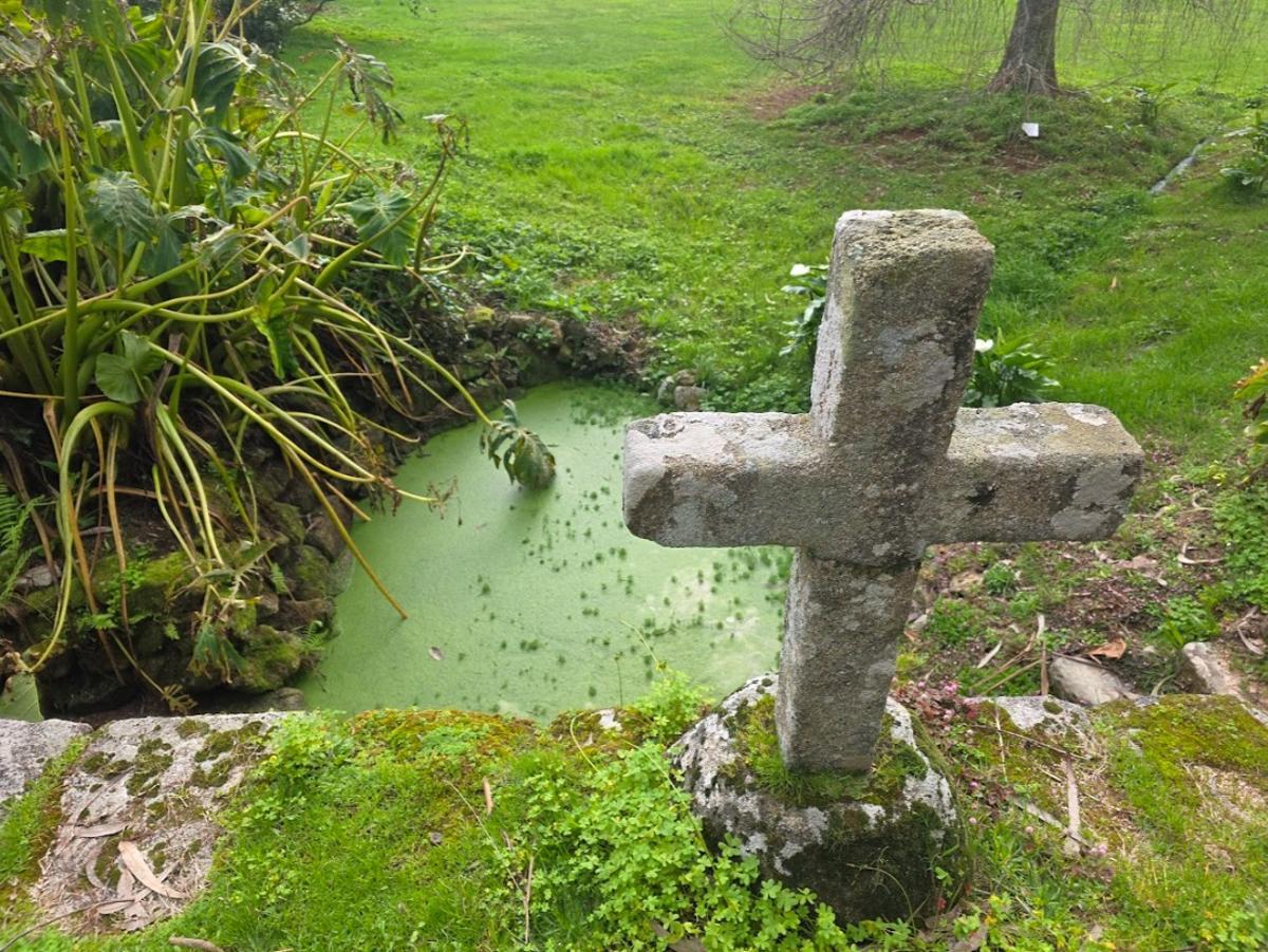 Pazo Rubiáns, en Vilagarcía, sede de la bodega Pazo de Rubianes, desde octubre propiedad de Bodegas Arzuaga.