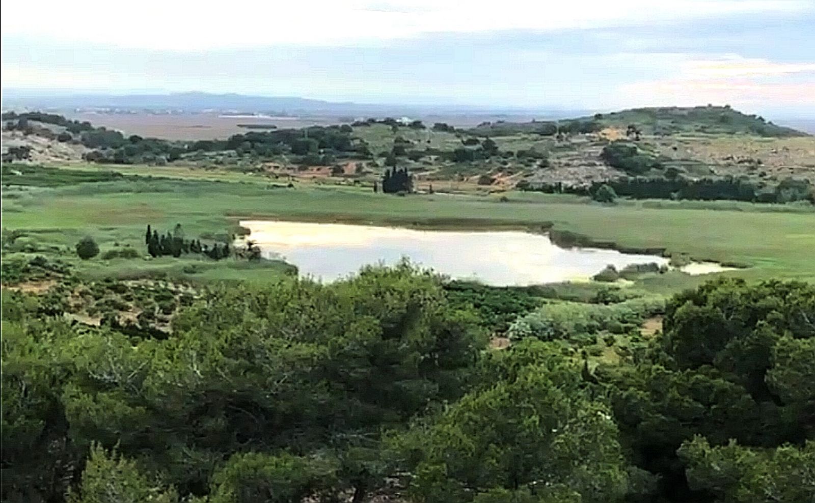 Evolución de la Bassa de Sant Llorenç de Cullera en los últimos años