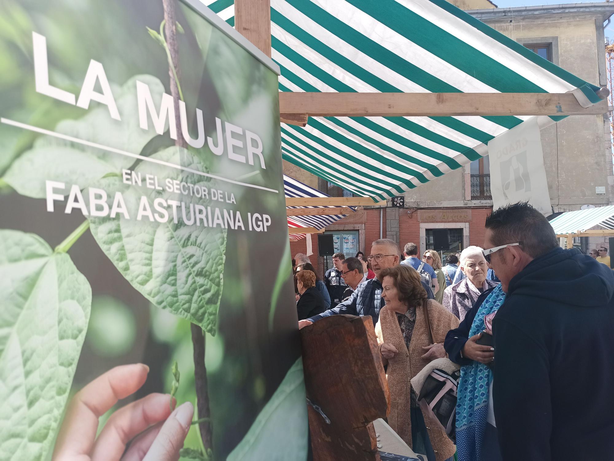 Lleno en la Primera Flor de Grado