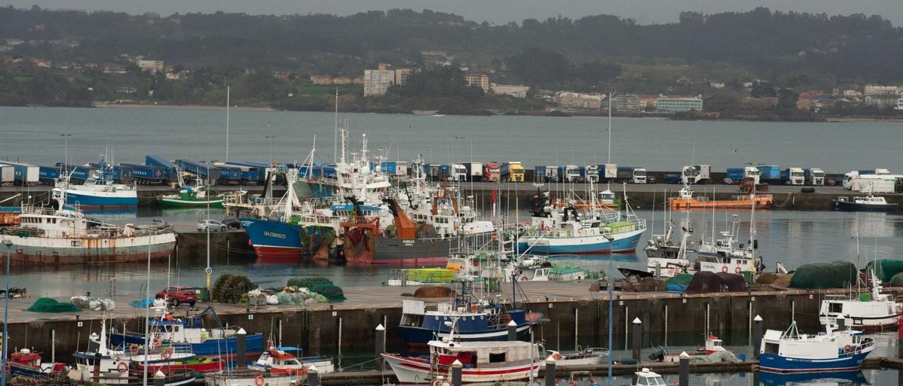 Barcos pesqueros amarrados en la dársena de Oza del puerto de A Coruña.