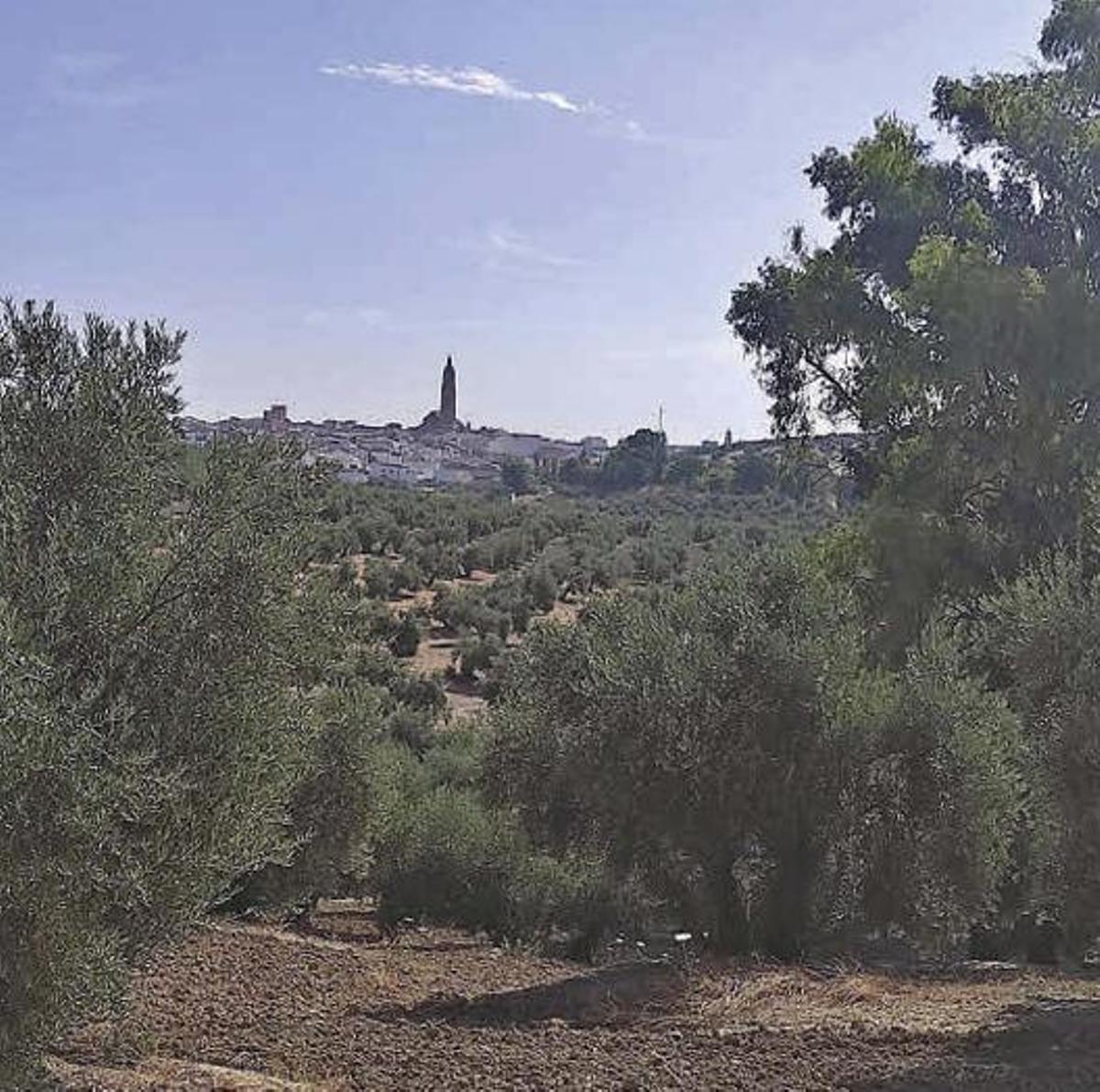 Bujalance tiene una gran industria aceitera desde hace décadas.