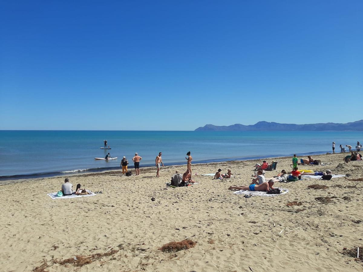 FOTOS | Mallorca se adelanta al verano: Son Bauló, en Can Picafort, se llena de bañistas