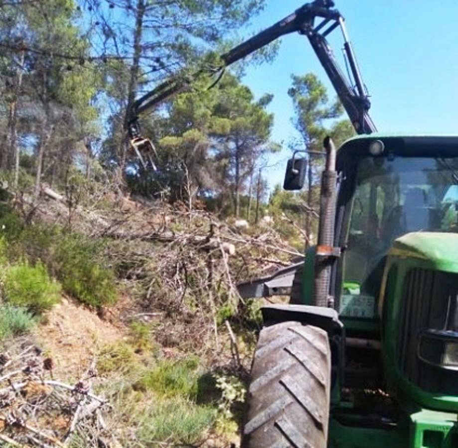 Trabajos financiados por el Consell de trituración de restos con astilladora, en el 2017, en la zona del Aguamala.