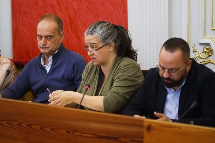 Pleno del Ayuntamiento de Las Palmas de Gran Canaria (26/1/2018)