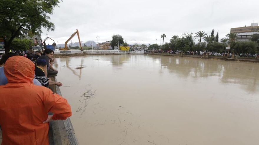 Limpieza de ramas y broza arrastrada por el agua en el Segura en el puente de La Fica