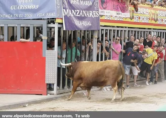 GALERÍA DE FOTOS -- El 'bou per la vila' suma un nuevo corneado