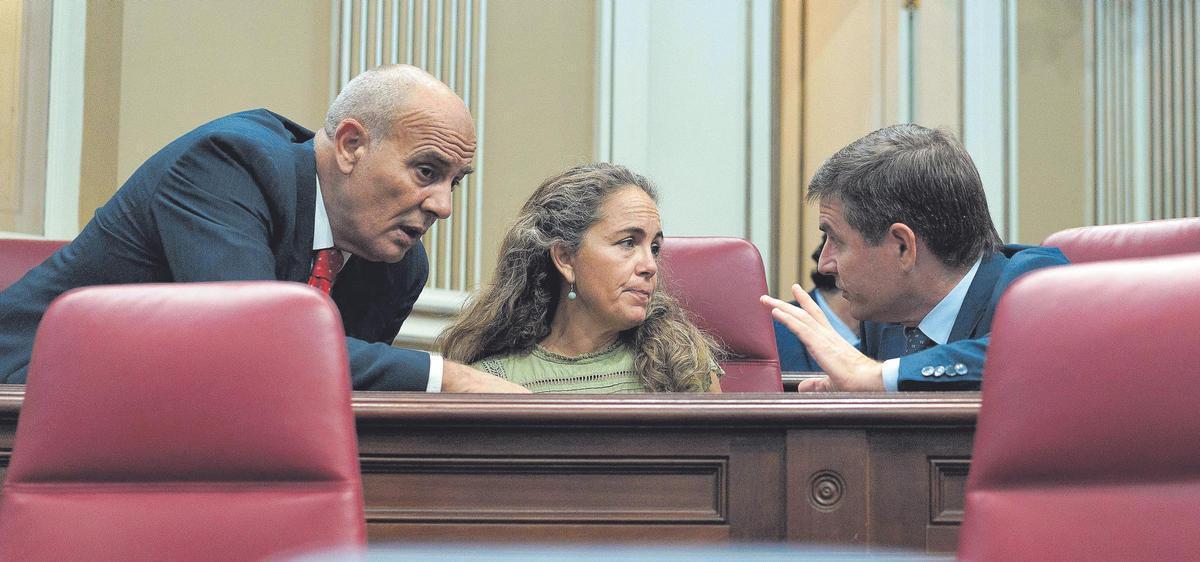 Los diputados del grupo parlamentario de Vox, Nicasio Galván (d), Paula Jover (c) y Javier Nieto (i) durante un pleno del Parlamento de Canarias.