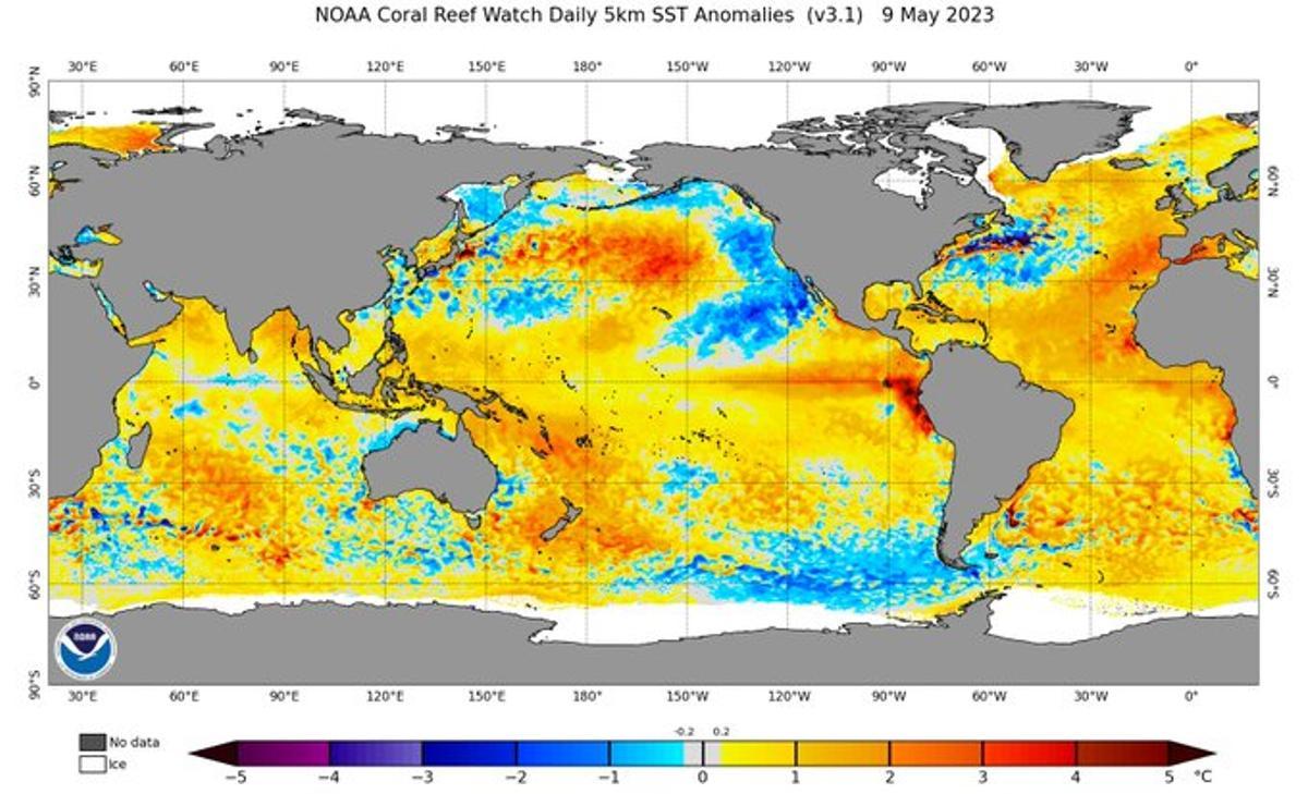 Mapa con las anomalías de temperatura en los océanos de este 9 de mayo.