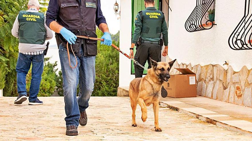 La Unidad Cinológica participó en la redada. | V. BOLUFER