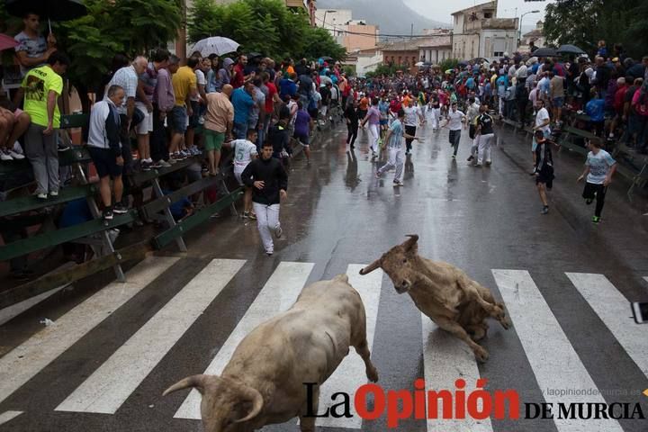 Cuarto encierro Feria del Arroz 2015, Calasparra